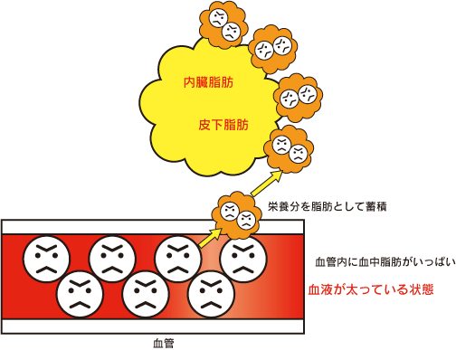 グリンパティック流　脳イラスト